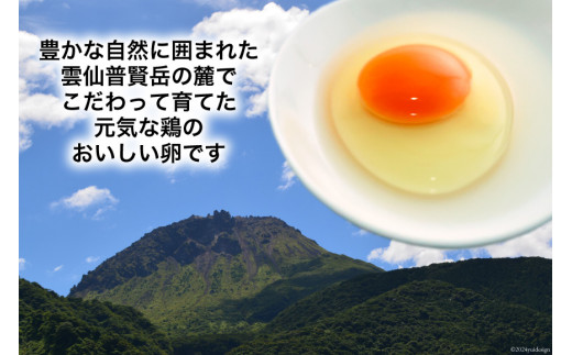 BI032 6回 定期便 雲仙たまごLサイズ 40個 (10個入り×4パック) (37個＋割れ補償3個入り) [ 卵 たまご 生卵 鶏卵 赤卵 玉子 新鮮 塚ちゃん雲仙たまご村 長崎県 島原市 ]