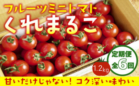 定期便全6回 1月～6月毎月お届け】 フルーツミニトマト 『 くれまるこ 』 1.2kg 【  フルーツトマト  トマト 甘い 濃厚 美味しい 箱詰め 糖度8%～12% 高知 中土佐  】 