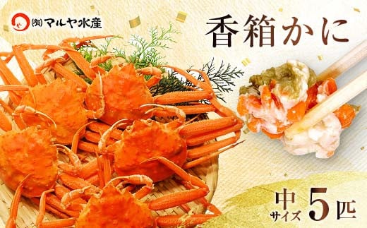 
            【時期が選べる】【先行予約】【冷蔵発送】石川県産 香箱蟹 せいこ 中サイズ 5匹 詰合せ 復興　震災　コロナ【能登半島地震復興支援】 北陸新幹線 F6P-2054 クラウドファンディング 実施中 GCF
          