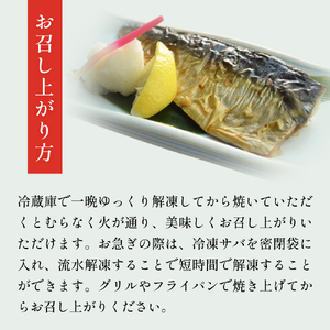 訳あり 塩サバフィーレ1kg（10枚前後） 鯖 冷凍 不揃い 魚 お魚 おかず お弁当 美味しい 簡単調理