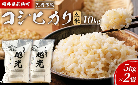 コシヒカリ 令和8年産 一等 玄米 10kg 神谷農園 コシヒカリ