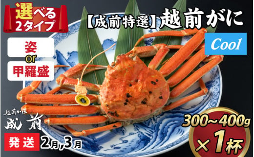 【先行予約】選べる！美味しさ直送【成前特選】越前かに（300g～400ｇ）×1杯【2月～3月発送】姿 [C-028041_06]