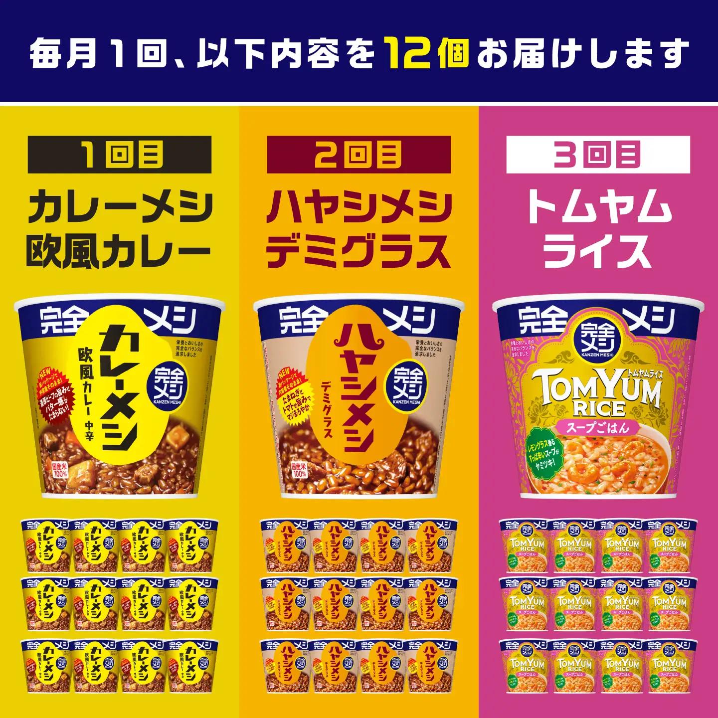 【3回定期便】完全メシバリエーション定期便（欧風カレー・ハヤシメシ デミグラス・トムヤムライス）[BIBI044]