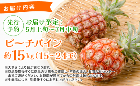 《2025年先行予約》ピーチパイン 約15kg 15～24玉 農園ファイミール 完熟 果物 フルーツ
