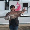 【ふるさと納税】 釣り船 真鯛 乗船券 【午前】手ぶらOK 千葉県飯岡港 フィッシング 釣り 鯛 魚 魚釣り リール 竿 船 漁船 大型船 大漁旗 飯岡港 外房 千葉 海 海釣り 沖釣り 新鮮魚 魚介 初心者 歓迎 午前マダイ船乗船券 ふるさと納税 有限会社幸丸 千葉県 旭市