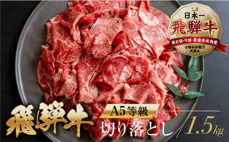 [A5等級] 飛騨牛 切り落とし 500g×3 計1.5kg   [mt369] 飛騨牛 トキノ屋食品