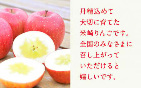 米崎りんご 「ふじ」 3kg 【 数量限定 りんご リンゴ 林檎 旬 新鮮 産地直送 岩手 陸前高田 家庭用 】RT671