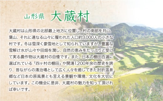 ＜令和8年産米先行受付＞ 令和9年6月下旬発送  雪若丸 【玄米】 10kg （10kg×1袋） 山形県大蔵村 