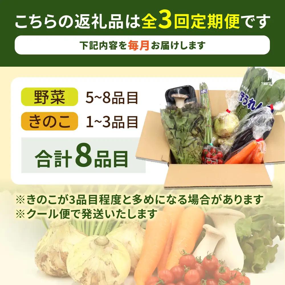 【3回定期便】野菜 定期便 8品目 [SCZ028]