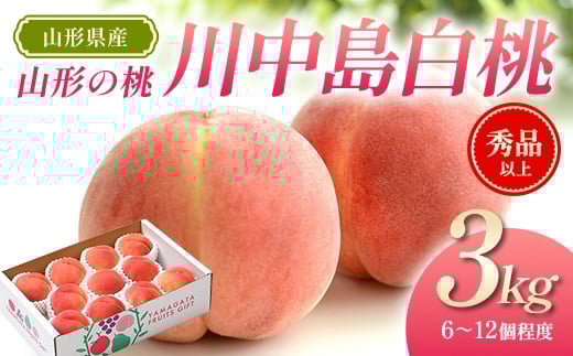 
                  【先行予約（令和8年発送）】 山形県産 山形の桃（白桃）3kg 品種：川中島白桃 FSY-2797
                