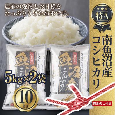 ふるさと納税 南魚沼市 【無地のし】南魚沼産 コシヒカリ お米 5kg×2袋 10kg 精米済み(美味しい炊き方ガイド付き)