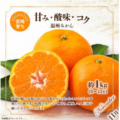 ふるさと納税 宮崎市 【発送月固定定期便】旬のフルーツ6か月定期便Vol.3全6回 |  | 03