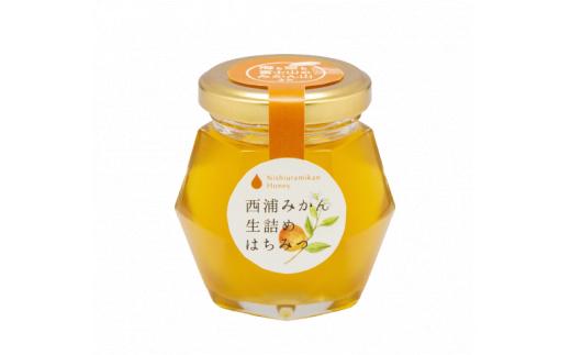 はちみつ 国産 蜂蜜 西浦 みかん 生詰め 3本 計300g セット ハチミツ 夏百花 温州 みかん ローハニー ミカン 蜜柑 柑橘 静岡県 沼津市 伊豆 半島 パンケーキ トースト 健康 朝食 ヨー