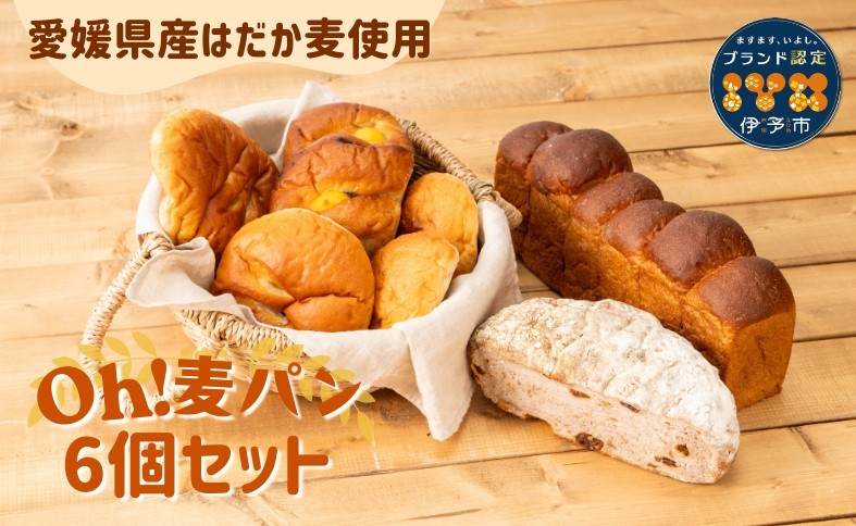 
                  パン 無添加 老舗 6個セット ブレッド おまかせ ランダム 詰め合わせ ブランド認定 学校給食 朝食 朝ごはん 季節 おすすめ はだか麦 国産小麦 国産素材 おやつ こだわり 食物繊維豊富 安心 安全 篠崎ベーカリー 愛媛 伊予市 ｜B67
                