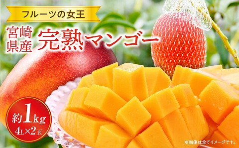 《2025年発送》【期間・数量限定】宮崎県産 完熟マンゴー 4Lサイズ×2玉_M344-010-01