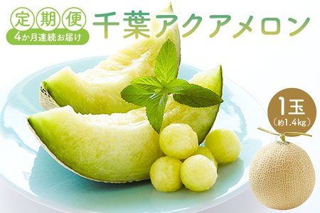 【定期便】千葉アクアメロン1玉（1.4Kg）【4か月連続お届け】 mi0018-0005