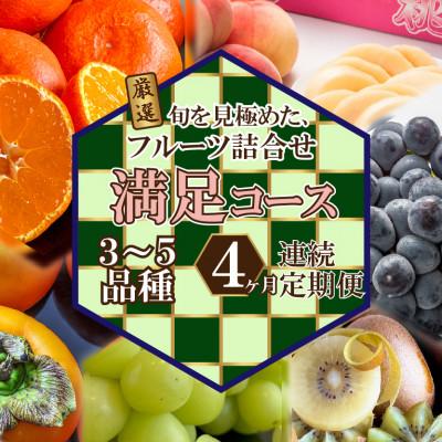 ふるさと納税 高松市 【毎月定期便】旬を見極めた、厳選フルーツ詰合せ定期便【満足コース】(3〜5品種)全4回