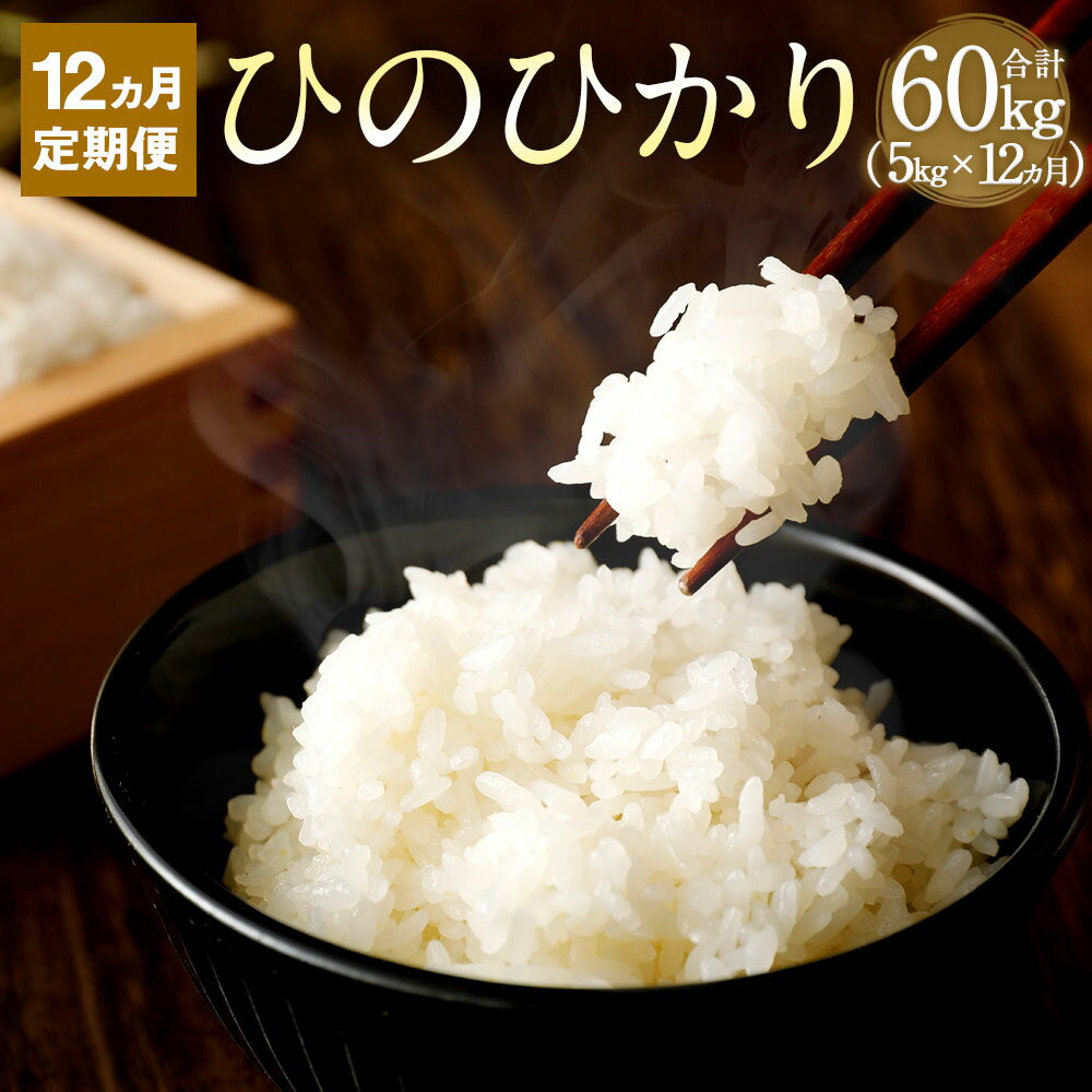 【ふるさと納税】【12か月定期便】 竹田市産 名水育ち ひのひかり 5kg×12か月 合計60kg お米 白米 精米 定期便 大分県産 九州産 ヒノヒカリ 大分県 竹田市 送料無料