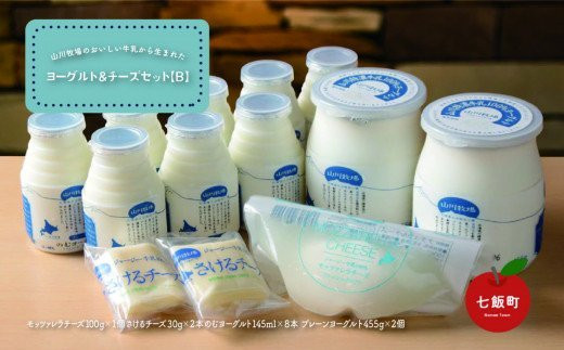 山川牧場こだわりの濃厚ヨーグルト&チーズセット（B） ふるさと納税 人気 おすすめ ランキング 山川牧場 ヨーグルト チーズ  こだわり セット 北海道 七飯町 送料無料 NAN005