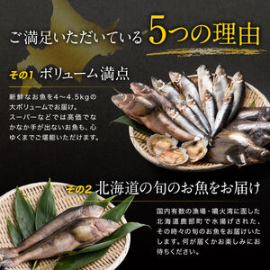 【順次発送】【緊急支援品】北海道鹿部町の漁師応援プロジェクト！ ”３Dエアブラスト凍結法”を使った冷凍鮮魚セット 4～4.5kg  加熱奨励 一部内臓、鱗処理済み 事業者支援 中国禁輸措置