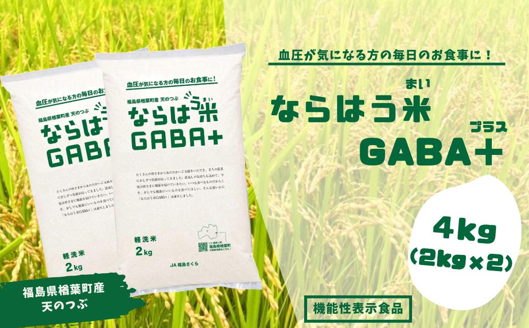 
            ならはう米GABA+　4kg　福島県楢葉町産天のつぶ　【GABA米 米 福島 天のつぶ 白米 玄米 栄養 天のつぶ 楢葉町 福島県産 健康米 機能性 GABA 軽洗米 アミノ酸 血圧低下 ストレス緩和 睡眠 国産米 贈り物 ごはん】
          