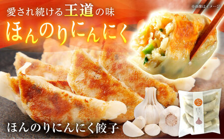 餃子屋ヒロの3種食べ比べセット【餃子屋ヒロ】開成町 餃子　点心 惣菜 冷凍[BDAS002]