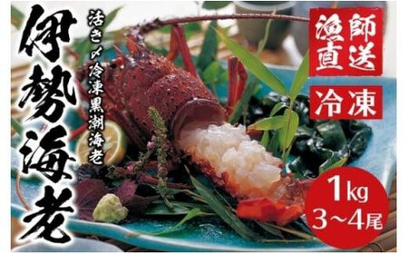 【 伊勢海老 】 活き〆冷凍伊勢海老 1kg
