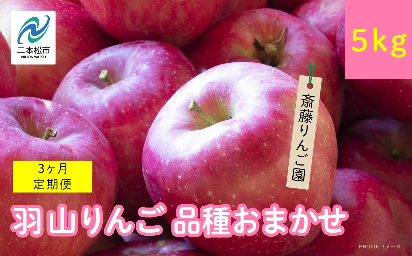 【3ヶ月定期便】品種おまかせ！羽山のりんご5kg×3回【斎藤りんご園】
