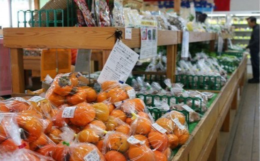 厳選・「おおばん市場」旬の野菜詰め合わせ　毎月1回1年間お届け定期便　【11246-0173】