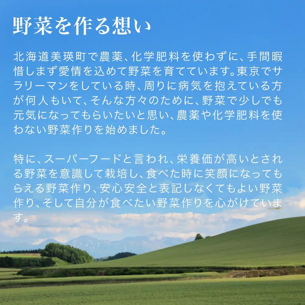 季節の野菜セット【大】定期便 3回便 8月 9月 10月発送 旬野菜 詰め合わせ あらいふぁーむ