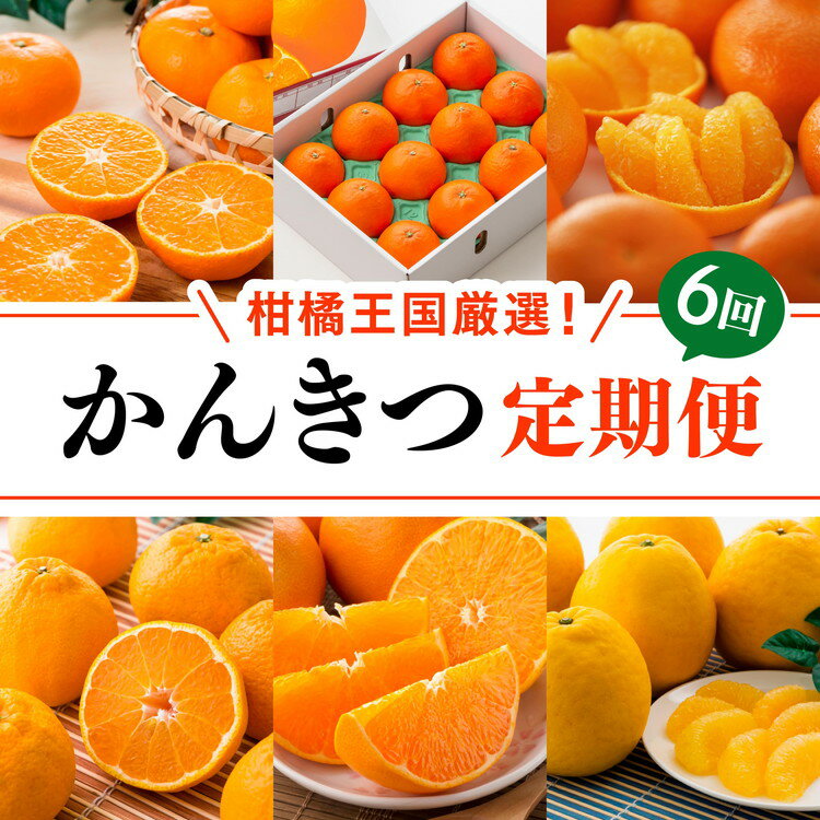 【ふるさと納税】【定期便】【愛媛県共通返礼品】愛媛のかんきつ定期便（全6回）（日の丸みかん・紅まどんな・伊予柑・不知火・せとか・河内晩柑) ｜ みかん 蜜柑 日の丸みかん 紅まどんな 伊予柑 不知火 デコポン せとか ※2026年11月～発送