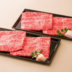 【ふるさと納税】【レビューキャンペーン対象商品】飛騨牛 すき焼き ・ しゃぶしゃぶ 用 ロース 合計 約800g 約400g×2パック | 株式会社高島屋 法人事業部 贈り物 ギフト 送料無料
