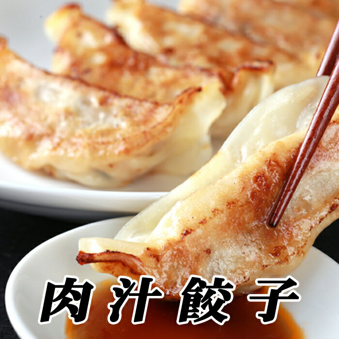 【ふるさと納税】【12月21日決済確定分まで年内配送】 餃子 25 個 × 2P ぎょうざ ギョウザ ギョーザ 豚肉 豚にく 肉 にく 惣菜 お取り寄せ グルメ 北海道 根室市 ふるさと納税 A-76027