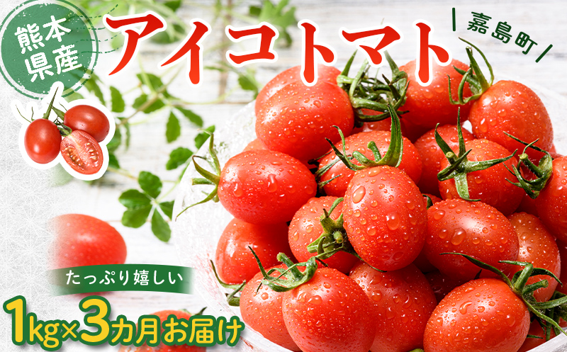 FK7-0211_ 【3カ月定期】嘉島町産アイコトマト1kg もぎたて 産地直送 産直 有機肥料 甘い フルーティー ミニトマト プチトマト リコピン 新鮮 フレッシュ サラダ 朝食 野菜 食品