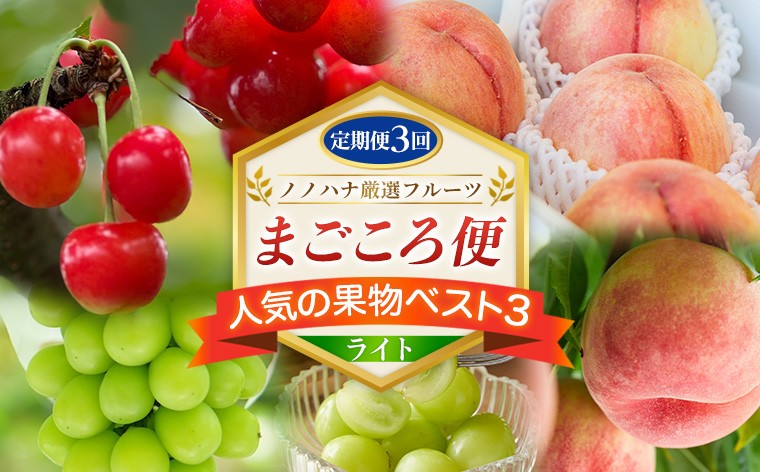 
                  【定期便3回】ノノハナ厳選フルーツ まごころ便 人気の果物ベスト3 ライト  FY26-217
                
