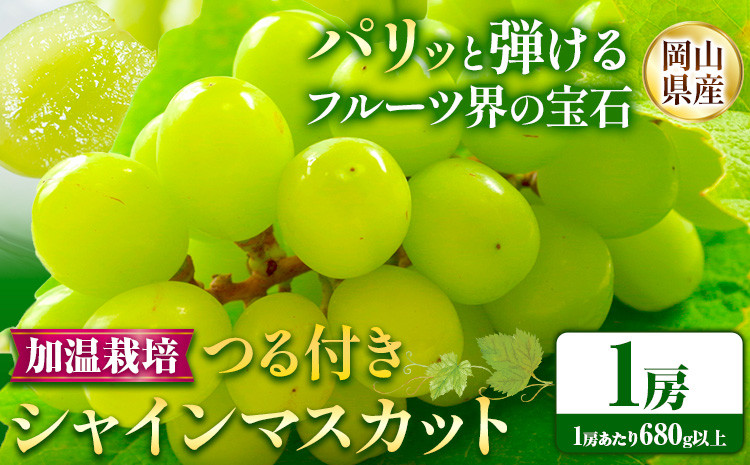 
            235.【先行予約】 岡山県産 加温栽培 つる付き シャインマスカット 1房 (680g以上) 【配送不可地域あり】 《7月上旬-8月下旬頃出荷予定》 岡山県 矢掛町 マスカット ぶどう 葡萄 果物
          