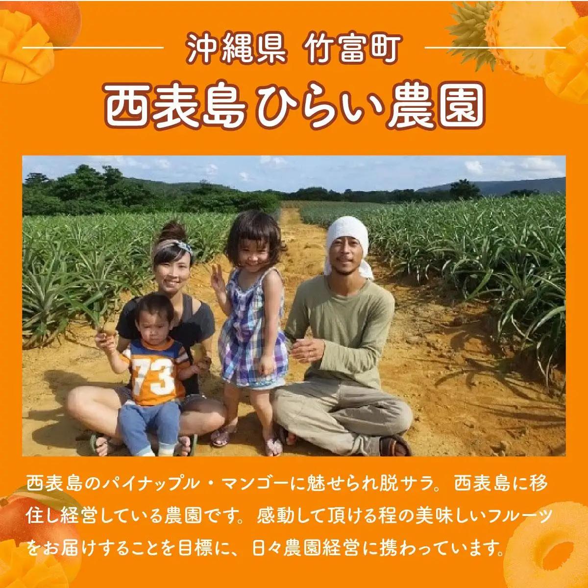 【2027年 先行予約】アップルマンゴー 約3.1kg