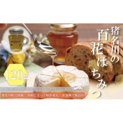 ふるさと納税 猪名川町 猪名川の百花はちみつ(桜&amp;れんげ)1本ずつ(計2本)セット
