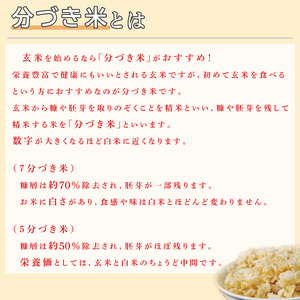 ★真空包装★R7年産こしひかり食べ比べ 計8kg(2kg×各2袋)【5分づき・7分づき】｜米 こめ お米 コシヒカリ こしひかり 真空 真空包装 5分づき 7分づき 人気 個包装 茨城県 行方市 送料