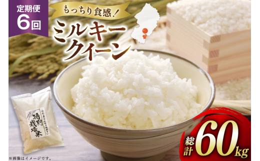 米 定期便 6回 令和7年 ミルキークイーン 10kg 6回 計60kg [渡部ファーム 山形県 高畠町 tk06ays810036] お米 白米 精米 ごはん ご飯 ブランド米