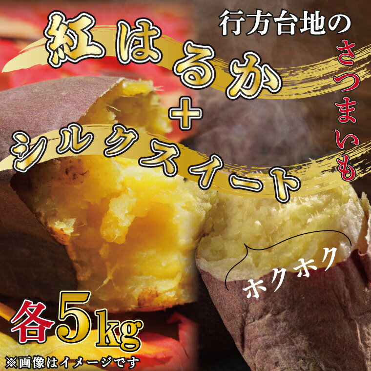 【ふるさと納税】【発送時期が選べる】★数量限定★【訳あり】無選別 行方台地のさつまいも 紅はるか約5kg＋シルクスイート約5kg(洗い)｜さつまいも 芋 サツマイモ シルクスイート 紅はるか 先行予約 訳あり わけあり 数量限定 セット 食べ比べ 茨城県 行方市(CU-87-5)