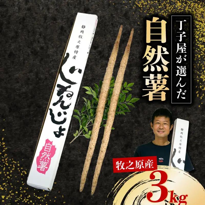 【R8年12月上旬からの発送】自然薯 3kg丁子屋が選んだ 自然薯