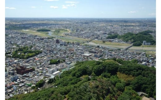 【返礼品なし】栃木県足利市応援寄附金 5,000円 F7Z-B005