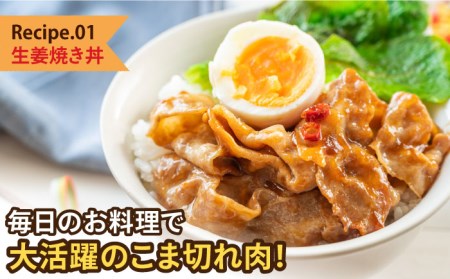 【6回定期便】＜毎日のお料理に便利に使える♪＞肥前さくらポーク こま切れ 1kg (500g × 2パック) 佐賀県産 国産豚肉 小間 小分け 吉野ヶ里町/アスタラビスタ[FAM030]