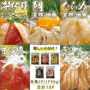 特製出汁醤油で漬け込んだ漬け丼5種セット10食(各90g)【配送不可地域：離島】【1678675】