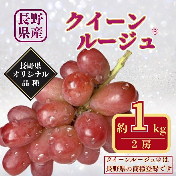 【ふるさと納税】【2026年先行予約】クイーンルージュ® 約1kg｜赤ぶどう 果物 フルーツ 種なし 皮ごと 信州 特産品 千曲市 長野県産 信州