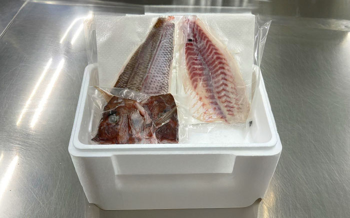 愛媛県産養殖真鯛フィレ2枚（お頭付き冷凍） ／ 魚 お魚 さかな 食品 人気 おすすめ 【愛媛県漁業協同組合】 [BKBA001]