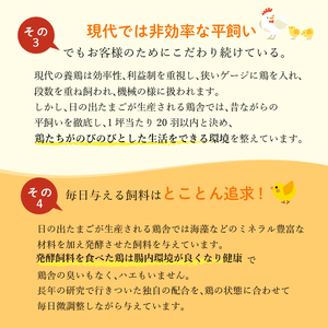 日の出たまご 45個  卵  三島ブランド たまご 