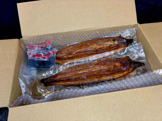 高知県産養殖うなぎ蒲焼 10尾(合計約2200g) - 土用の丑の日 鰻 ウナギ 蒲焼き かば焼き かばやき うな丼 うな重 送料無料 ギフト お中元 御中元 父の日 お礼 御礼 感謝 贈答 贈り物 