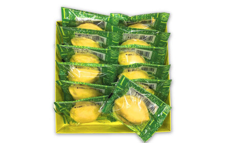 長崎レモンケーキ 12個入 / ケーキ レモン レモンケーキ スイーツ　おやつ / 諫早市 / 株式会社梅月堂[AHBN010]